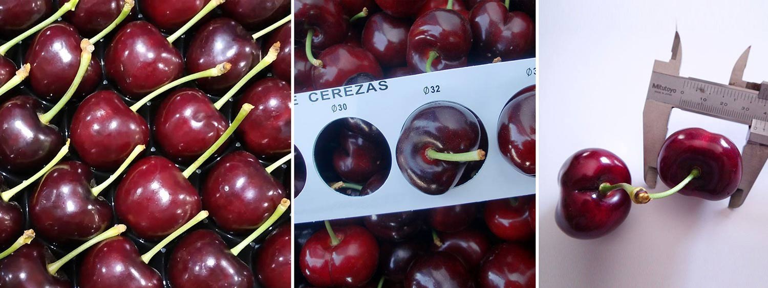 Cereza